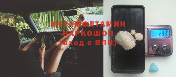 ГАЛЛЮЦИНОГЕННЫЕ ГРИБЫ Аркадак