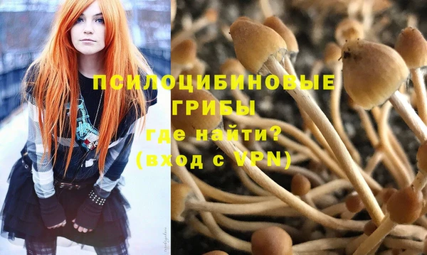 ГАЛЛЮЦИНОГЕННЫЕ ГРИБЫ Аркадак