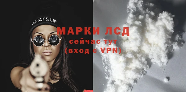 ГАЛЛЮЦИНОГЕННЫЕ ГРИБЫ Аркадак