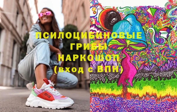 ГАЛЛЮЦИНОГЕННЫЕ ГРИБЫ Аркадак