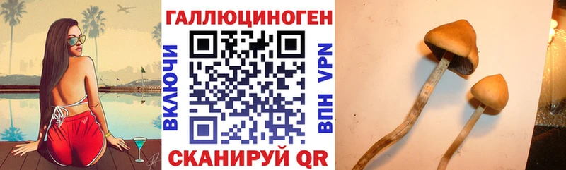 KRAKEN вход даркнет наркотические препараты Черняховск Галлюциногенные грибы Magic Shrooms сколько стоит