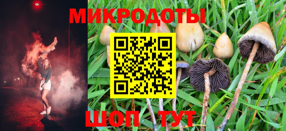 Черняховск  Галлюциногенные грибы MAGIC MUSHROOMS  Вход с VPN 