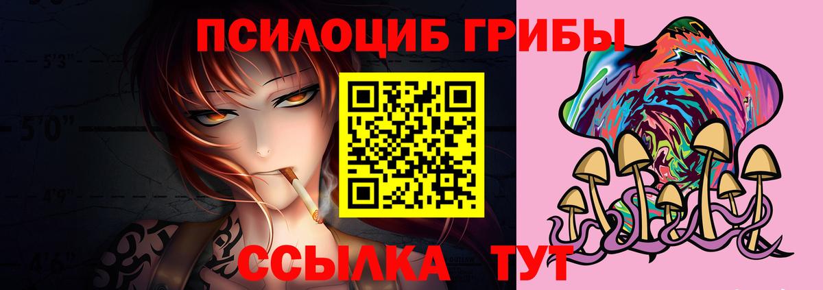 Галлюциногенные грибы Psilocybine cubensis Черняховск